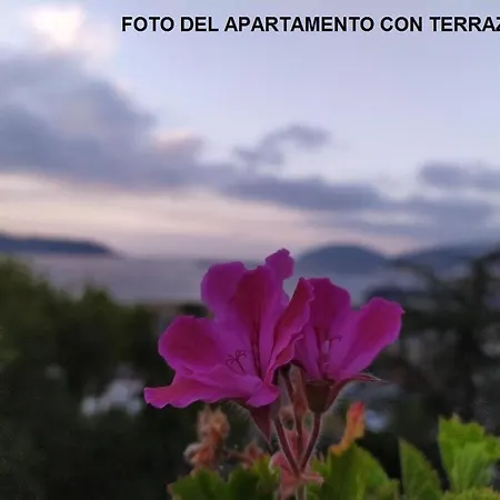 Rua Granxas, N 13, Piso Con Terraza O Estudio Sin Terraza Viveiro Exterior foto